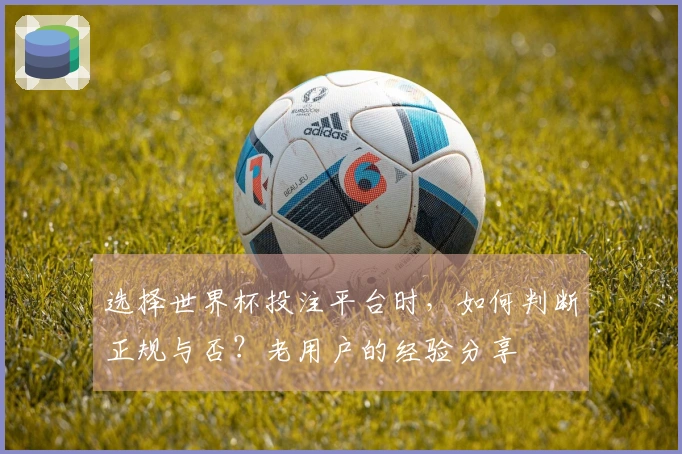 选择世界杯投注平台时，如何判断正规与否？老用户的经验分享