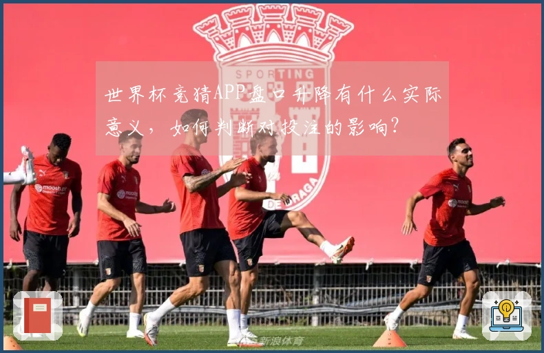 世界杯竞猜APP盘口升降有什么实际意义,如何判断对投注的影响?