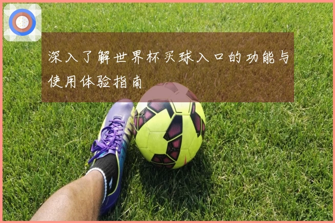 深入了解世界杯买球入口的功能与使用体验指南