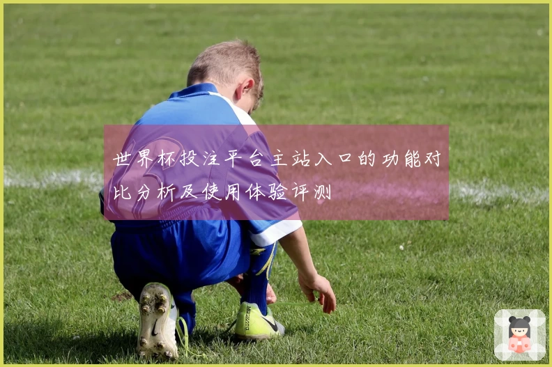 世界杯投注平台主站入口的功能对比分析及使用体验评测