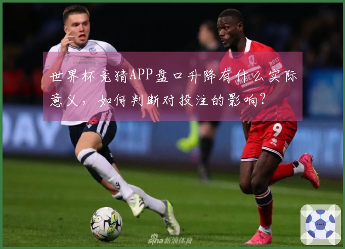 世界杯竞猜APP盘口升降有什么实际意义，如何判断对投注的影响？