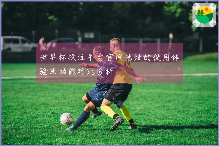 世界杯投注平台官网地址的使用体验及功能对比分析