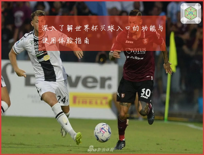 深入了解世界杯买球入口的功能与使用体验指南