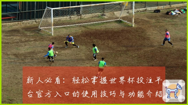 新人必看：轻松掌握世界杯投注平台官方入口的使用技巧与功能介绍