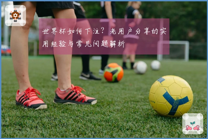 世界杯如何下注?老用户分享的实用经验与常见问题解析