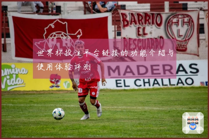世界杯投注平台链接的功能介绍与使用体验评测