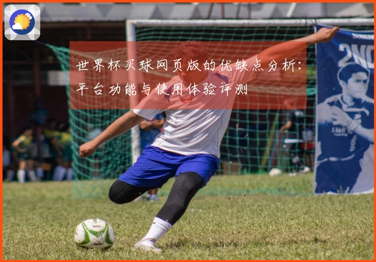 世界杯买球网页版的优缺点分析：平台功能与使用体验评测